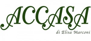 ACCASA di Elisa Marconi