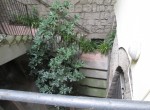 IMG_0333