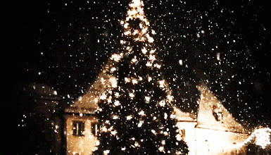 albero natale