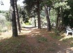 20150825_115319