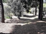 20190503_121243