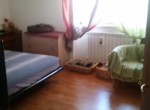0265 rug garb (15)