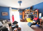 mini_DSC_9101