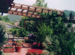 Bagnaia ampio app 2020-07-03 alle 10.48.57