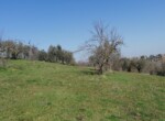 IMG-20210225-WA0004