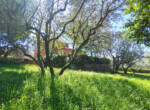 IMG_20210414_110006