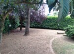IMG-20190717-WA0013