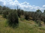 IMG-20220506-WA0030