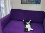 IMG-20220927-WA0002