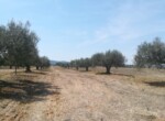 IMG-20230502-WA0008