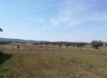 IMG-20230502-WA0010