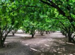 F_502509