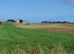 IMG_20220426_165124