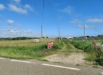 IMG_20220426_165211