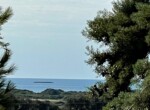 IMG_2851