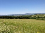 azienda agricola Allerona 10