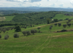 azienda agricola Allerona 14