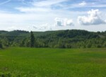 azienda agricola Allerona 2