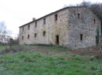 azienda agricola Allerona 3