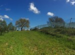 azienda agricola orvieto 1