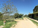 azienda agricola orvieto 6