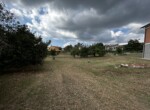 IMG_0912