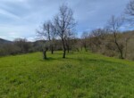 IMG_20240323_120503