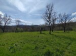 IMG_20240323_120517