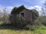 IMG_20240323_120706
