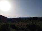 IMG-20250220-WA0004