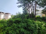 IMG_20250610_102044