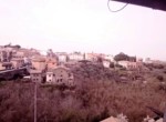 IMG-20260313-WA0010